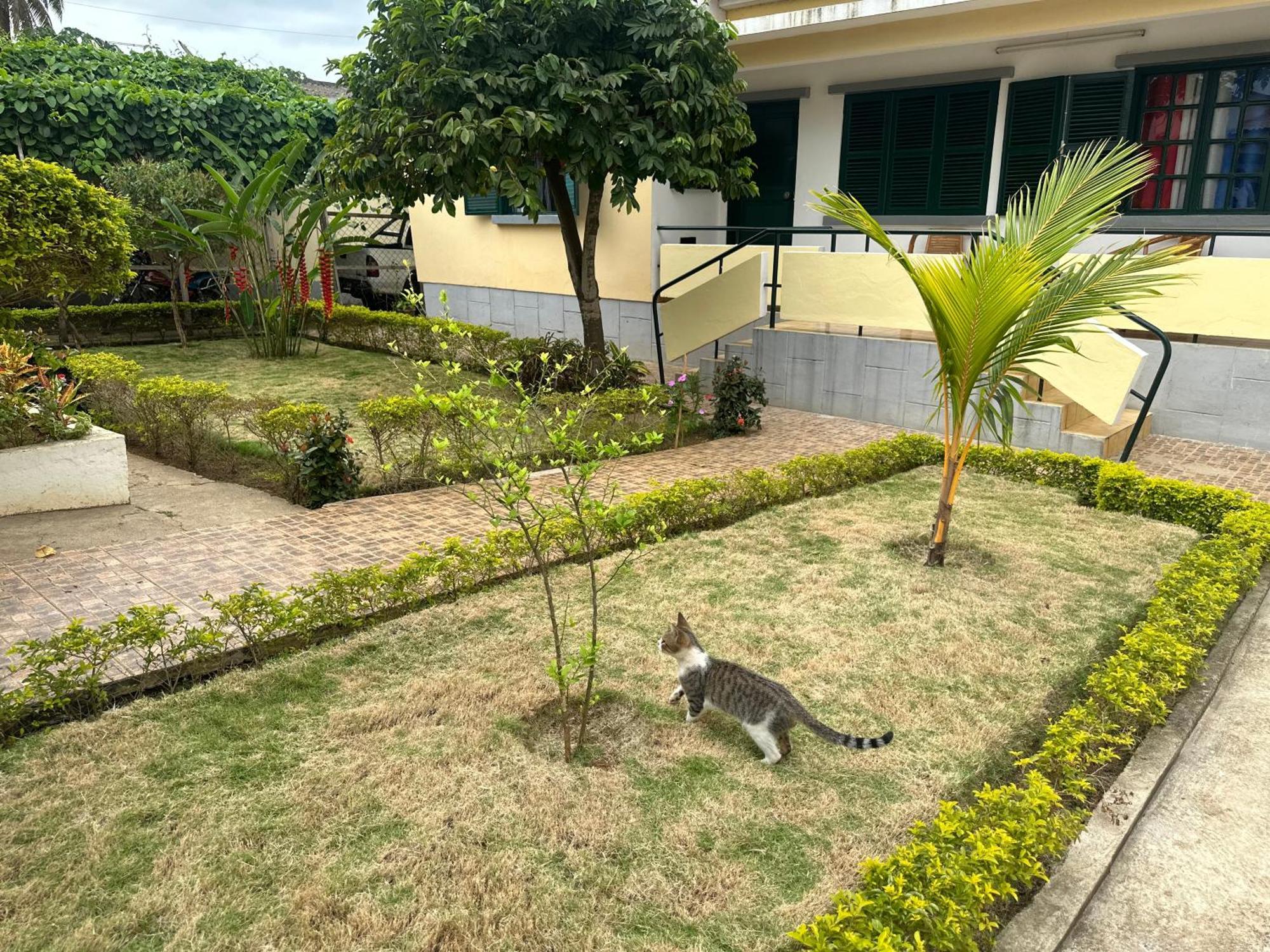 J Nova Lda Sao Tome Exterior foto